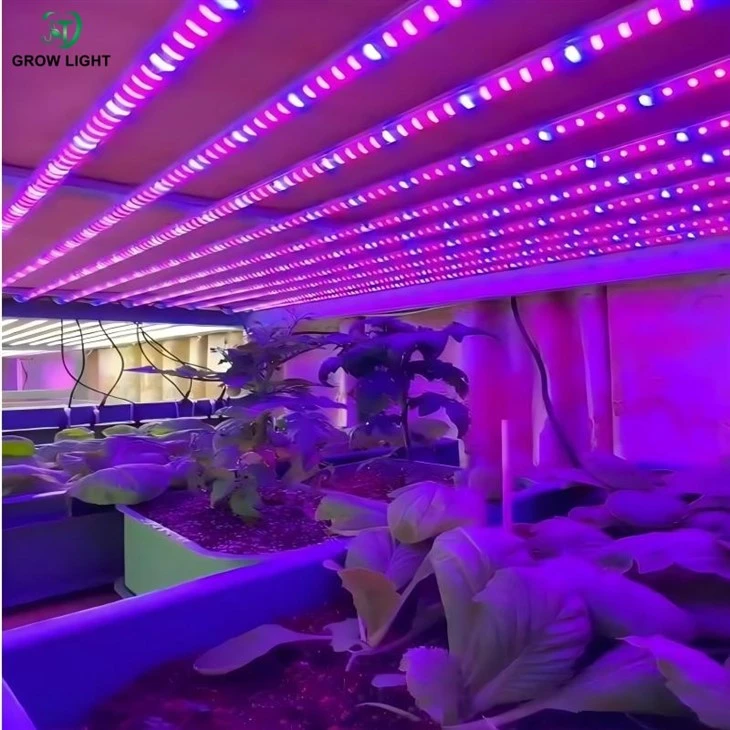 T8 Grow Light (2)